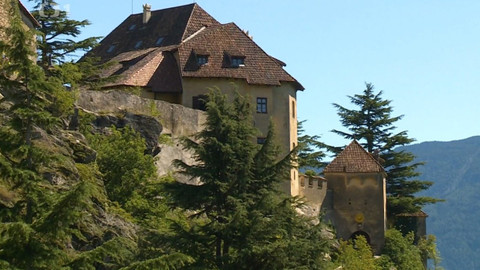 Objektiv - 25. července 2021