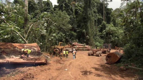 Dobrodružství vědy a techniky - Ochrana stromů