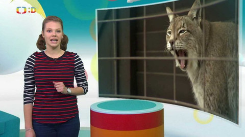 Zprávičky - 11. prosince 2020