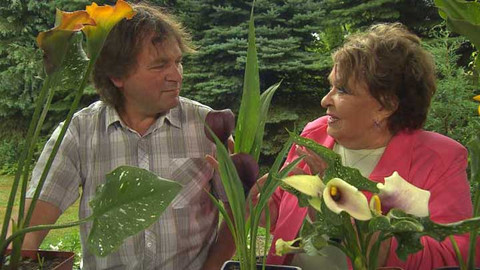 Hobby naší doby - 3. října 2015