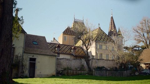 Milovníci vína - 7/16 Burgundsko - Chardonnay