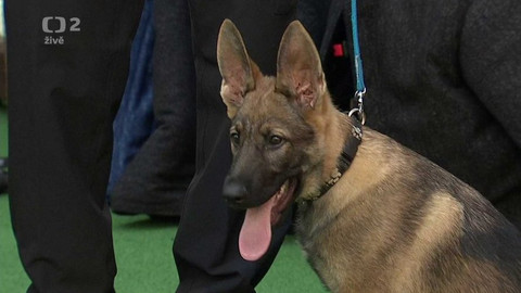 Dobré ráno - 27. června 2019