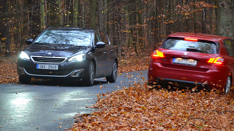 Besipky - Listí na vozovce