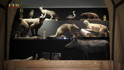 Tamtam - 20. května 2023