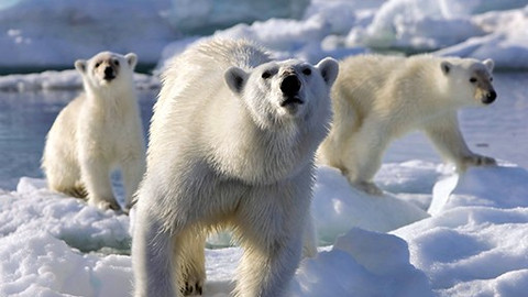 Zmrzlá planeta - 3/8 Léto