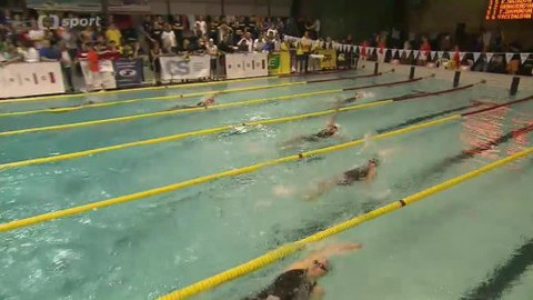 Plavání - Velká cena Brna v plavání