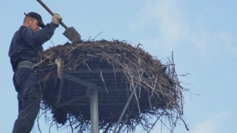 Chcete mě? - 19. listopadu 2008