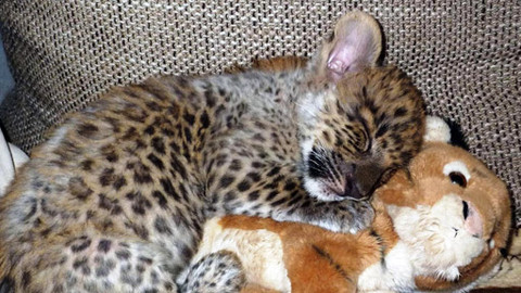 Máte mě! - 15. dubna 2012