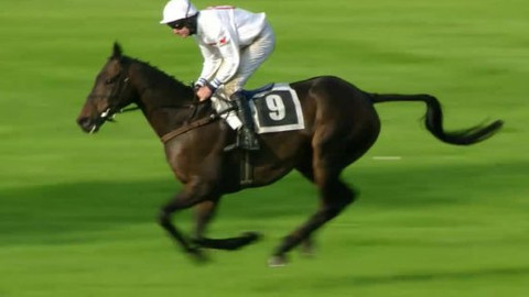 Jezdectví - IV. kvalifikace na Velkou pardubickou