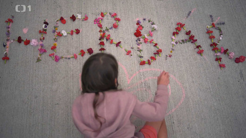 Herbář - 10. listopadu 2024