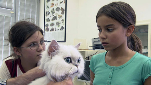 Zoománie - Epizoda 14/17