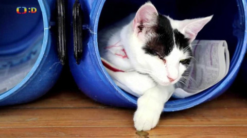 Zprávičky - 24. června 2021