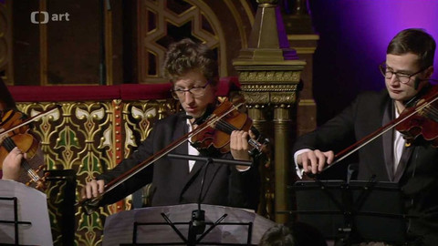 Světlo porozumění - Světlo porozumění 2023