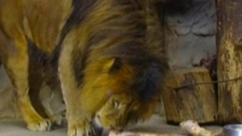 Chcete mě? - 5. listopadu 2010