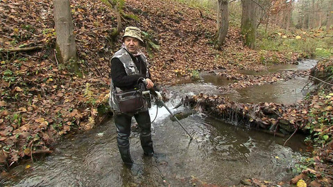 Nedej se! - Není ryba jako ryba