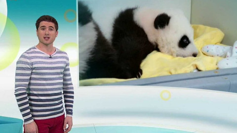 Zprávičky - 19. prosince 2016