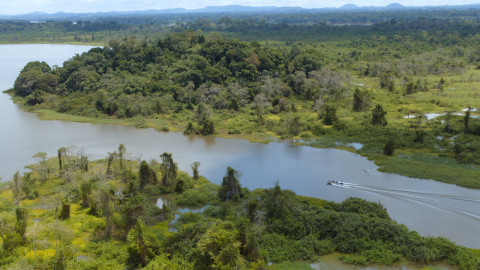Afrika z výšky - 9/10 Kamerun