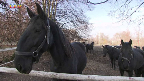 Tamtam - 12. prosince 2020