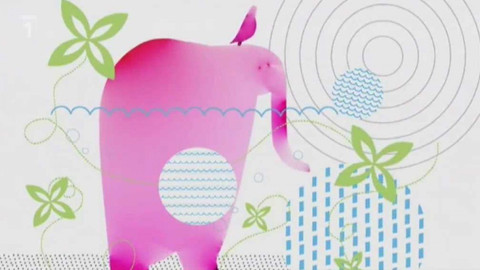 Mezi námi zvířaty - 25. října 2008