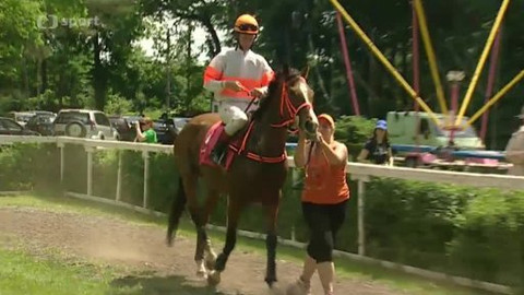 Turf - 19. června 2013