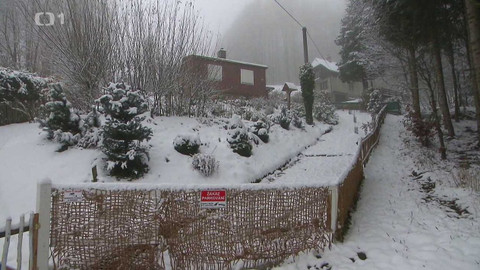 Černé ovce - 26. února 2024