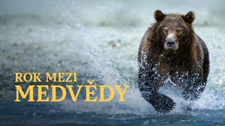 Rok mezi medvědy