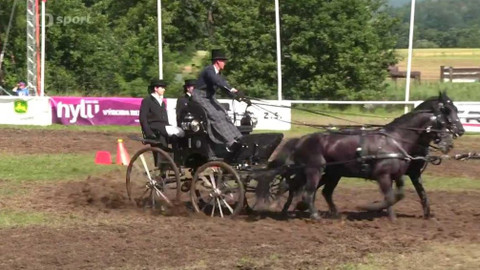 Jezdectví - Mezinárodní závody spřežení CAI Nebanice
