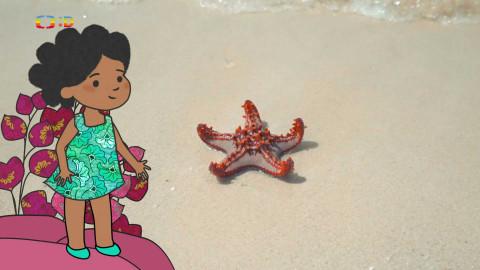 Velká kniha o zvířátkách - Epizoda 8/52