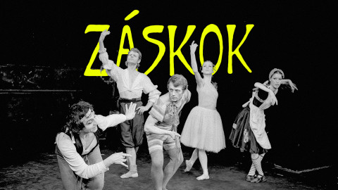 Záskok