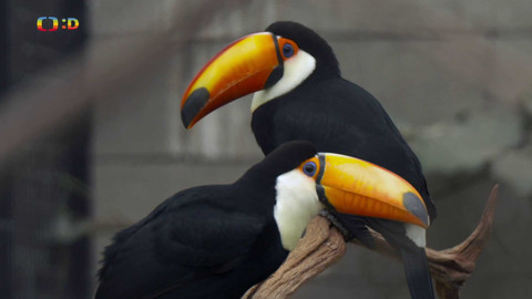 Terčin zvířecí svět - 24. dubna