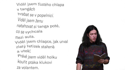 Jedna báseň - Petr Hruška