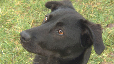 Chcete mě? - Chcete je?