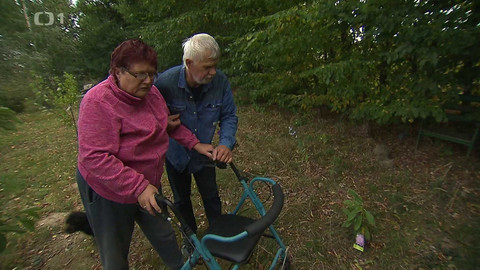 Černé ovce - 17. září 2024