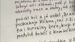 Obrázek pořadu Česko jedna báseň