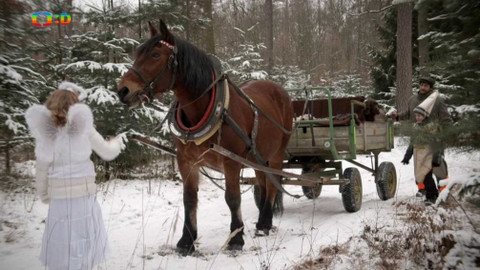 S Hubertem do lesa - Lesní siláci