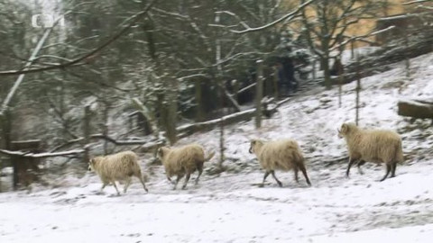 Polopatě - 9. února 2014