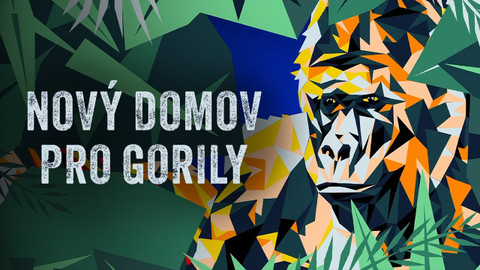 Nový domov pro gorily