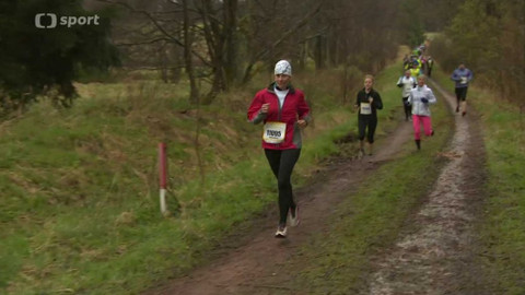 Sport v regionech - Běhej lesy Brdy