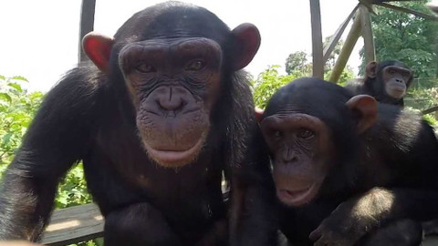 Objektiv - 17. června 2018