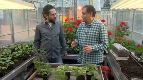 Polopatě - 5. března 2017