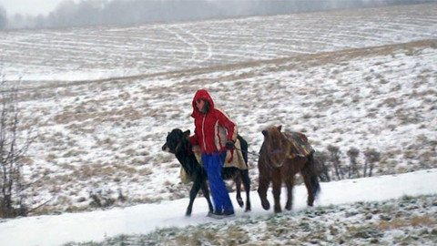 Čtyři v tom - 6/6 Mámy