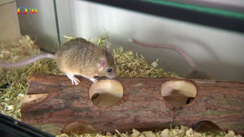 Terčin zvířecí svět - 15. března 2024