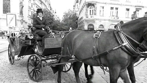 Z metropole - 15. července 2023