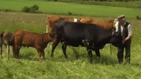 Náš venkov - Jan a Jana