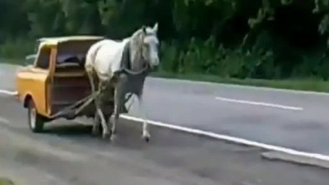 Lovci záhad - Auta s mozkem