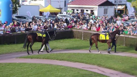 Velká pardubická - 124. Velká pardubická s Českou pojišťovnou