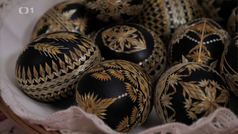 Toulavá kamera - 20. dubna