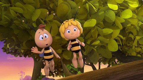 Včelka Mája - Sestra ví všechno nejlíp