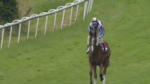 Jezdectví - Cena města Karlovy Vary