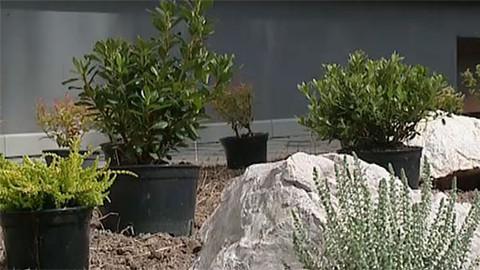 Zahrada je hra - 22. října 2006